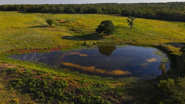 a view of an ocean beach