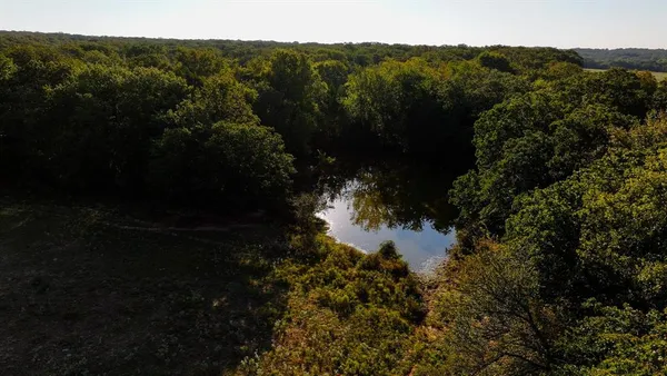 a view of a lake in a forest