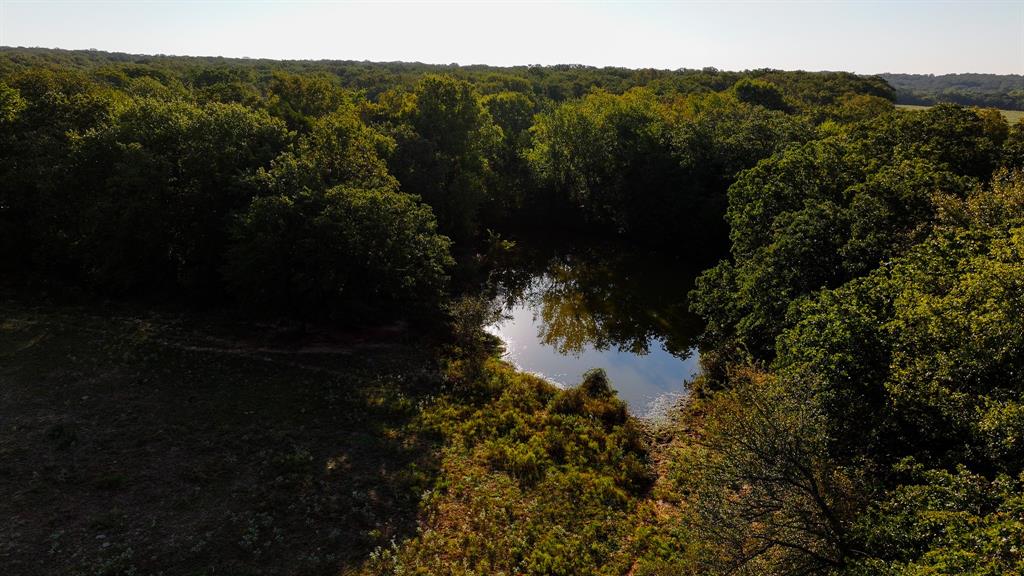 Tbd Hundley Road Montague, TX 76251 - Photo 10 of 26 a view of a lake in a forest