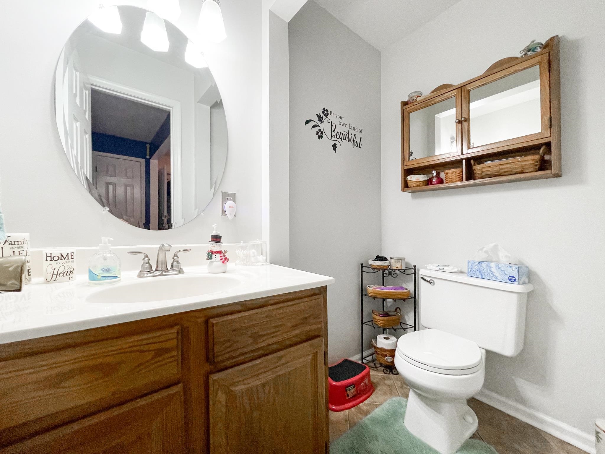 172 Beagle Gap Run Waynesboro, VA 22980 - Photo 23 of 32 a bathroom with a toilet a sink and a mirror