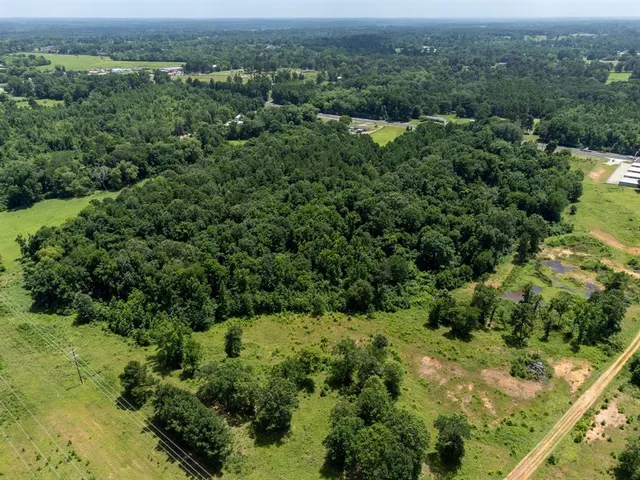 a view of a city with lush green forest
