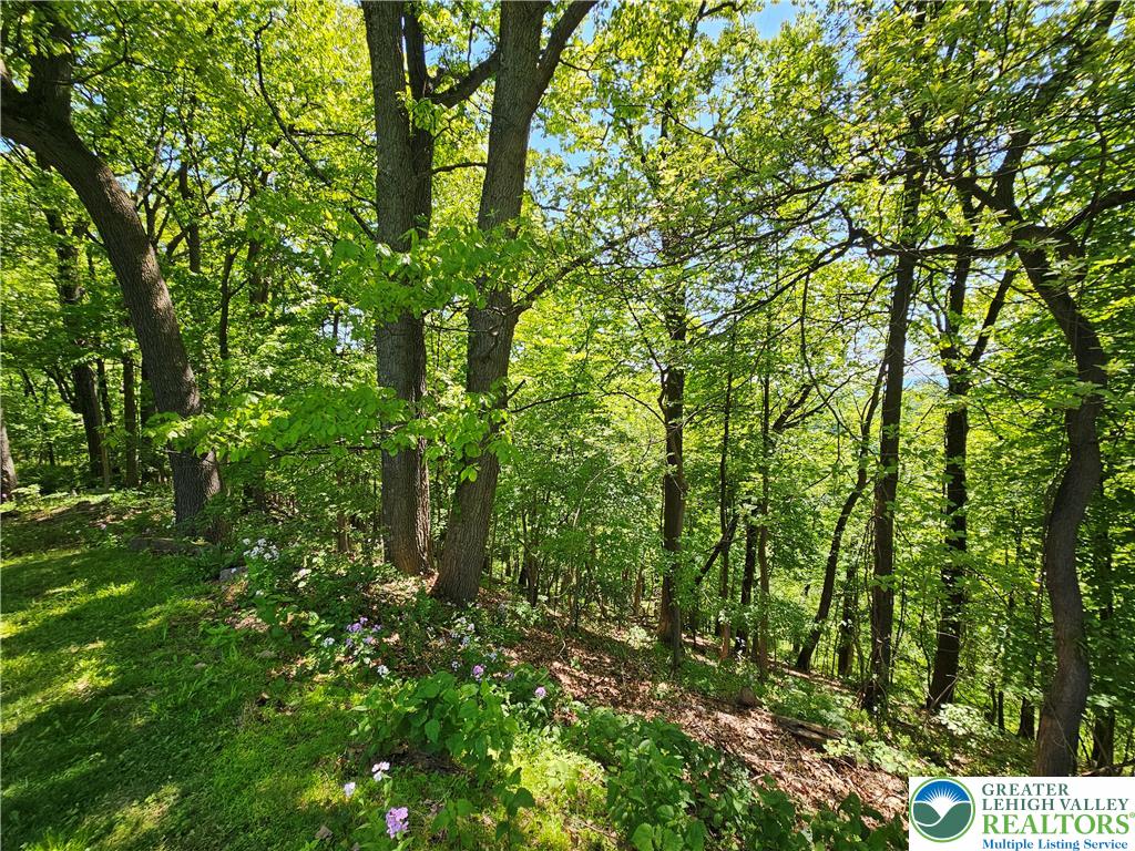 1200 Paxinosa Road East Easton, PA 18040 - Photo 38 of 40