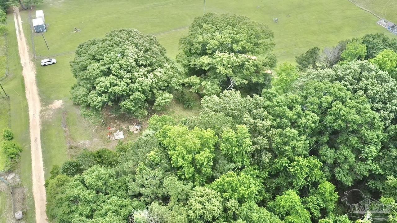 68697 Scranage Road Atmore, AL 36502 - Photo 11 of 13