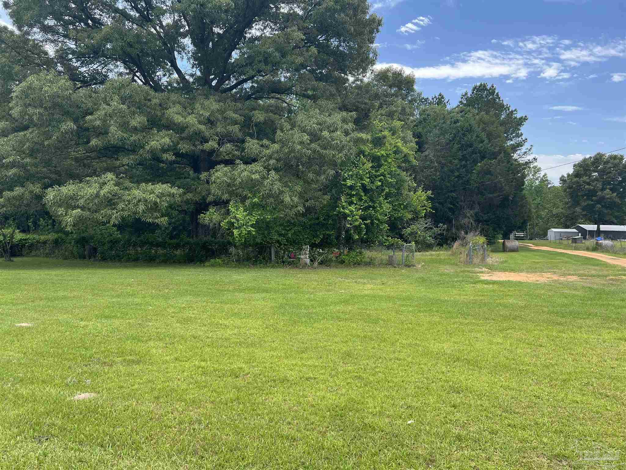 68697 Scranage Road Atmore, AL 36502 - Photo 2 of 13