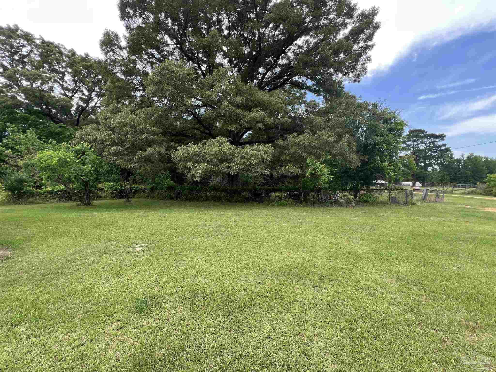 68697 Scranage Road Atmore, AL 36502 - Photo 4 of 13