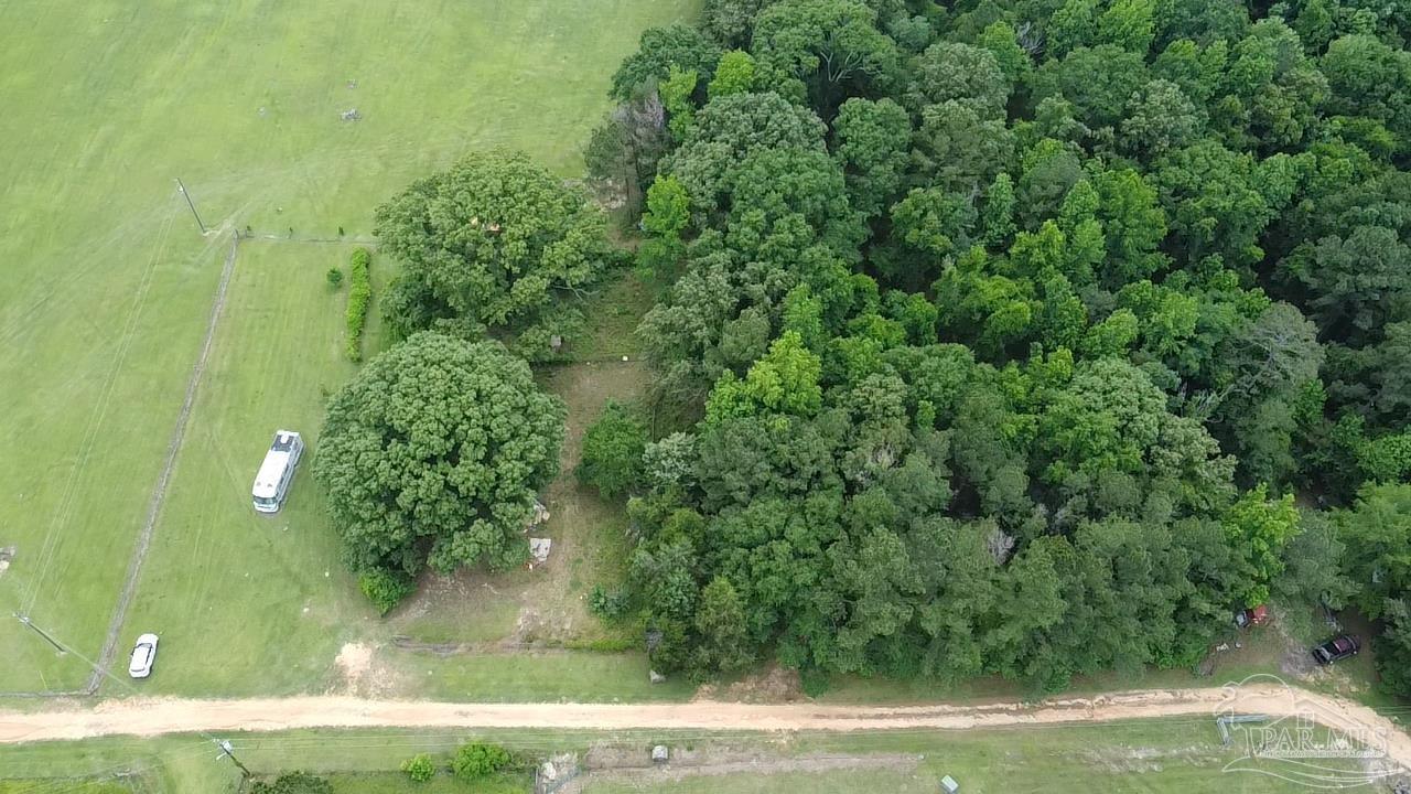 68697 Scranage Road Atmore, AL 36502 - Photo 8 of 13