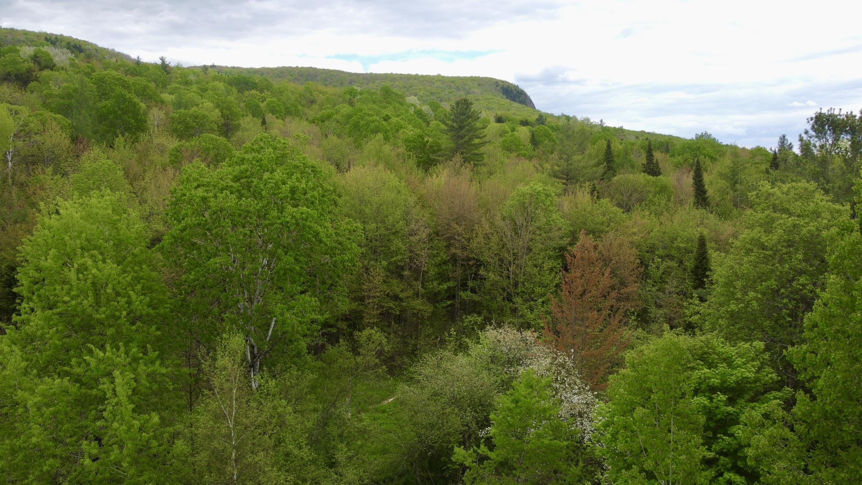 172 Brown-Benoit Road Owls Head, NY 12969 - Photo 26 of 28 Gallery Image 26