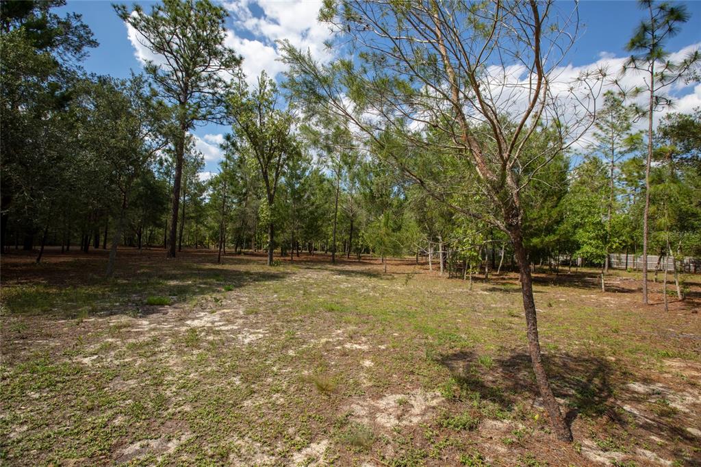 5670 Acadia Street Keystone Heights, FL 32656 - Photo 17 of 65