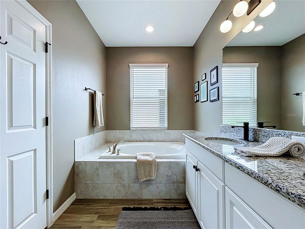 18078 Romanesque Court Spring Hill, FL 34610 - Photo 36 of 81 a bathroom with a granite countertop sink a large mirror and a bathtub