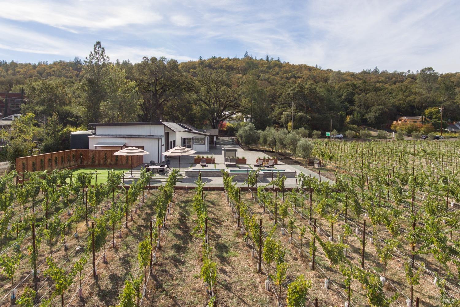 3002 Foothill Boulevard Calistoga, CA 94515 - Photo 52 of 58