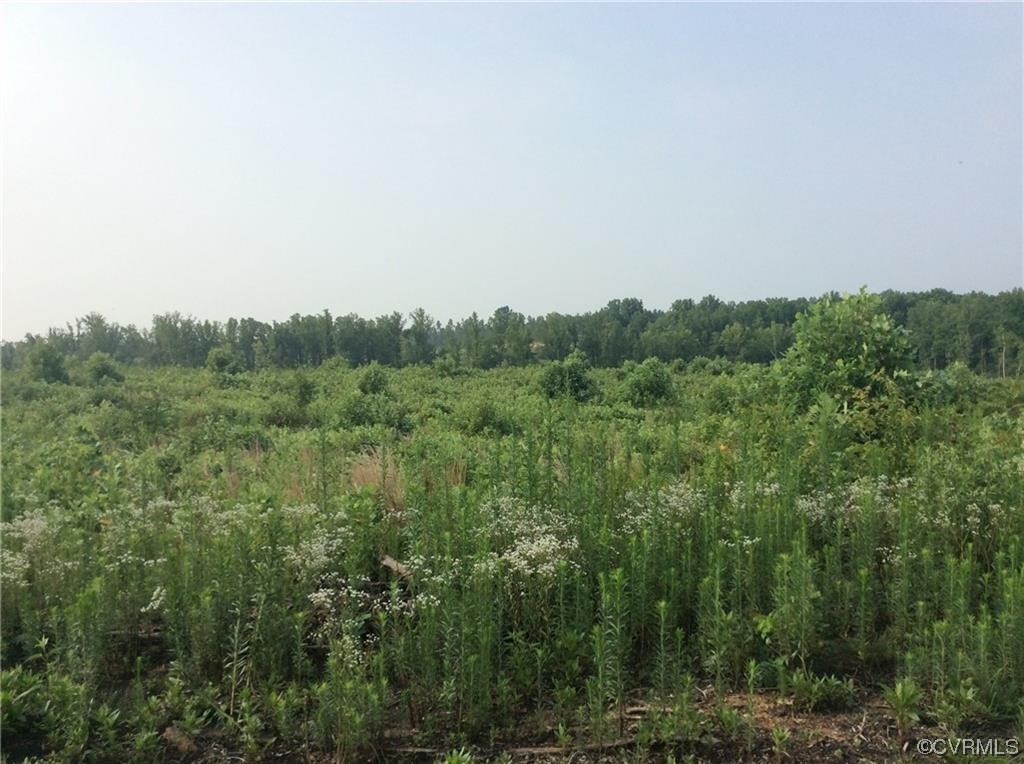 3 Broad St Road Gum Spring, VA 23065 - Photo 1 of 2 a view of a field of grass and trees