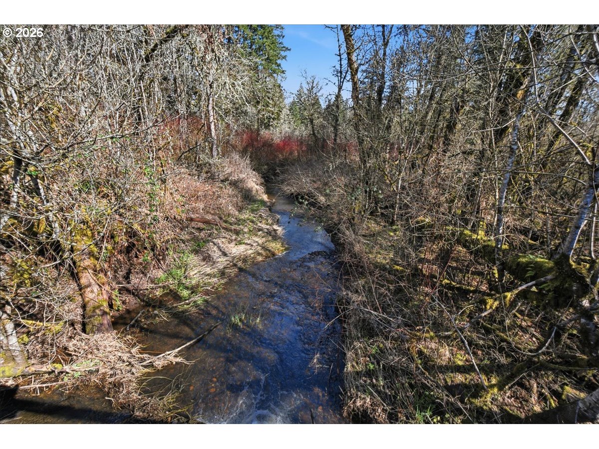 4026 Northwest 75th Avenue, Unit 70 Camas, WA 98607 - Photo 31 of 47 a view of a dry yard with trees in the background