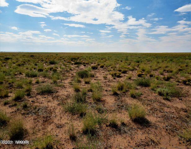 Ariz Ariz Rancho Holbrook, AZ 86029 - Photo 4 of 10 Gallery Image 4
