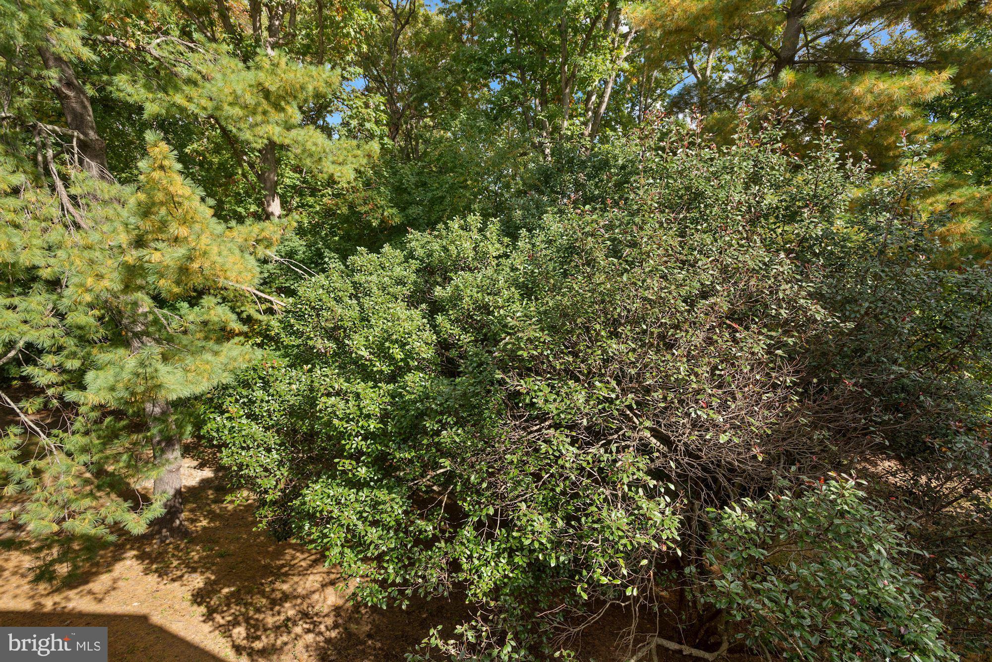 1639 Parkcrest Circle, Unit 300 Reston, VA 20190 - Photo 11 of 23 Beautiful views