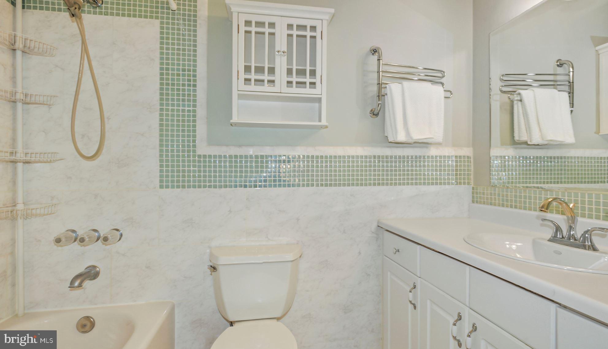 1639 Parkcrest Circle, Unit 300 Reston, VA 20190 - Photo 15 of 23 Primary bath with glass tile accents