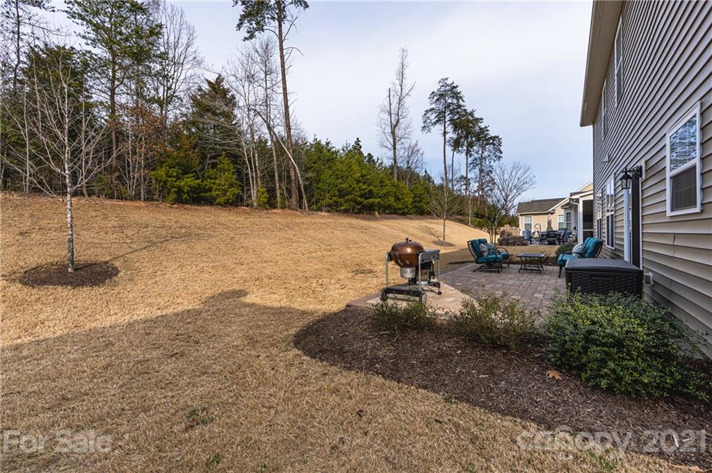 281 Annatto Way Tega Cay, SC 29708 - Photo 43 of 48 a view of a backyard of the house