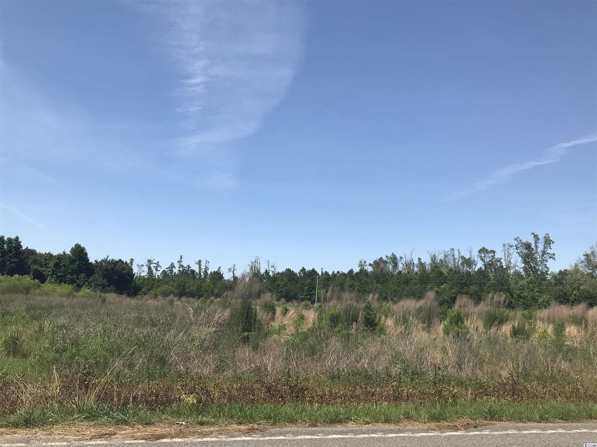 Joyner Swamp Road Galivants Ferry, SC 29544 - Photo 1 of 5 Gallery Image 1