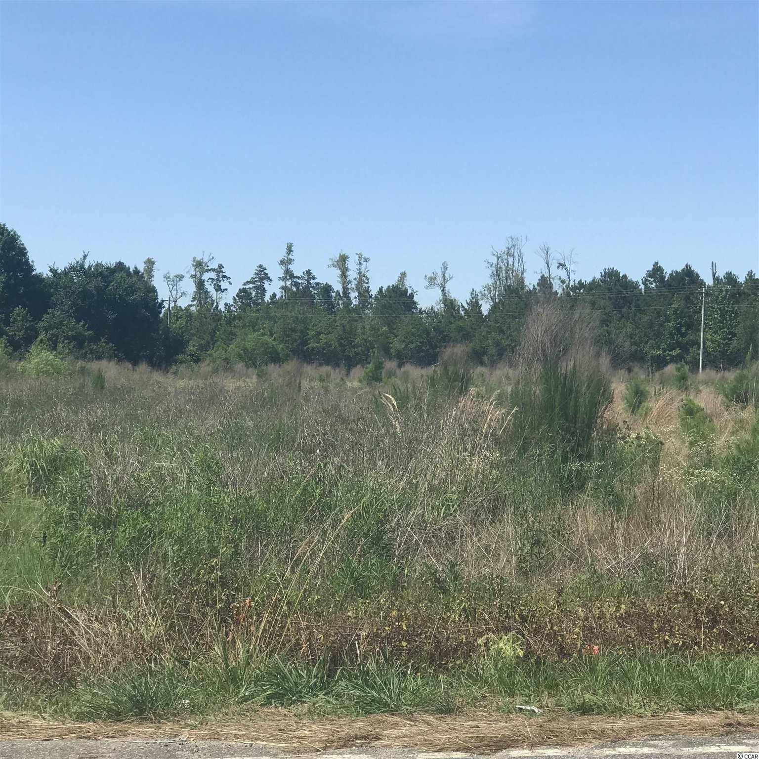 Joyner Swamp Road Galivants Ferry, SC 29544 - Photo 2 of 5 Gallery Image 2
