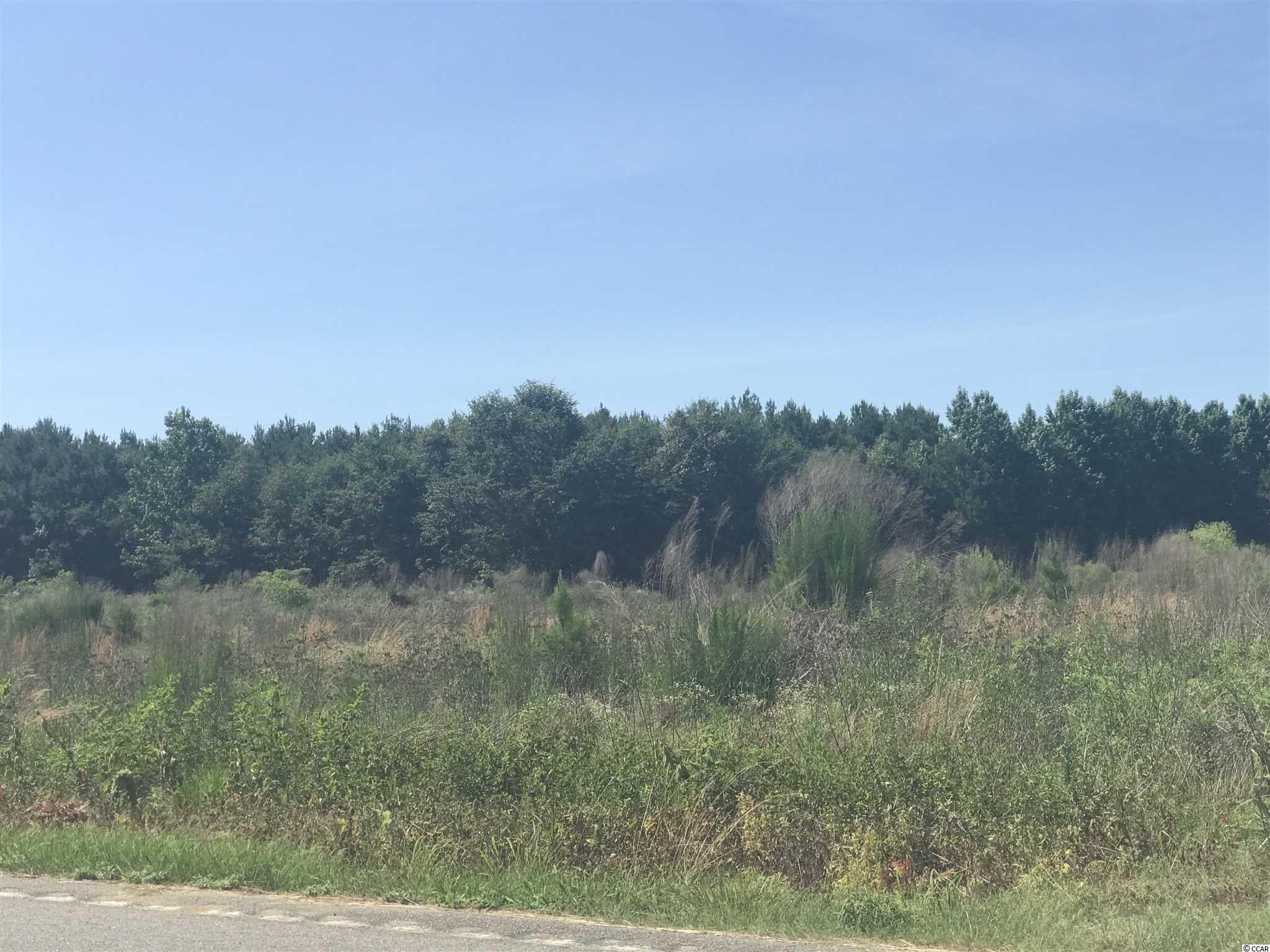 Joyner Swamp Road Galivants Ferry, SC 29544 - Photo 3 of 5 Gallery Image 3