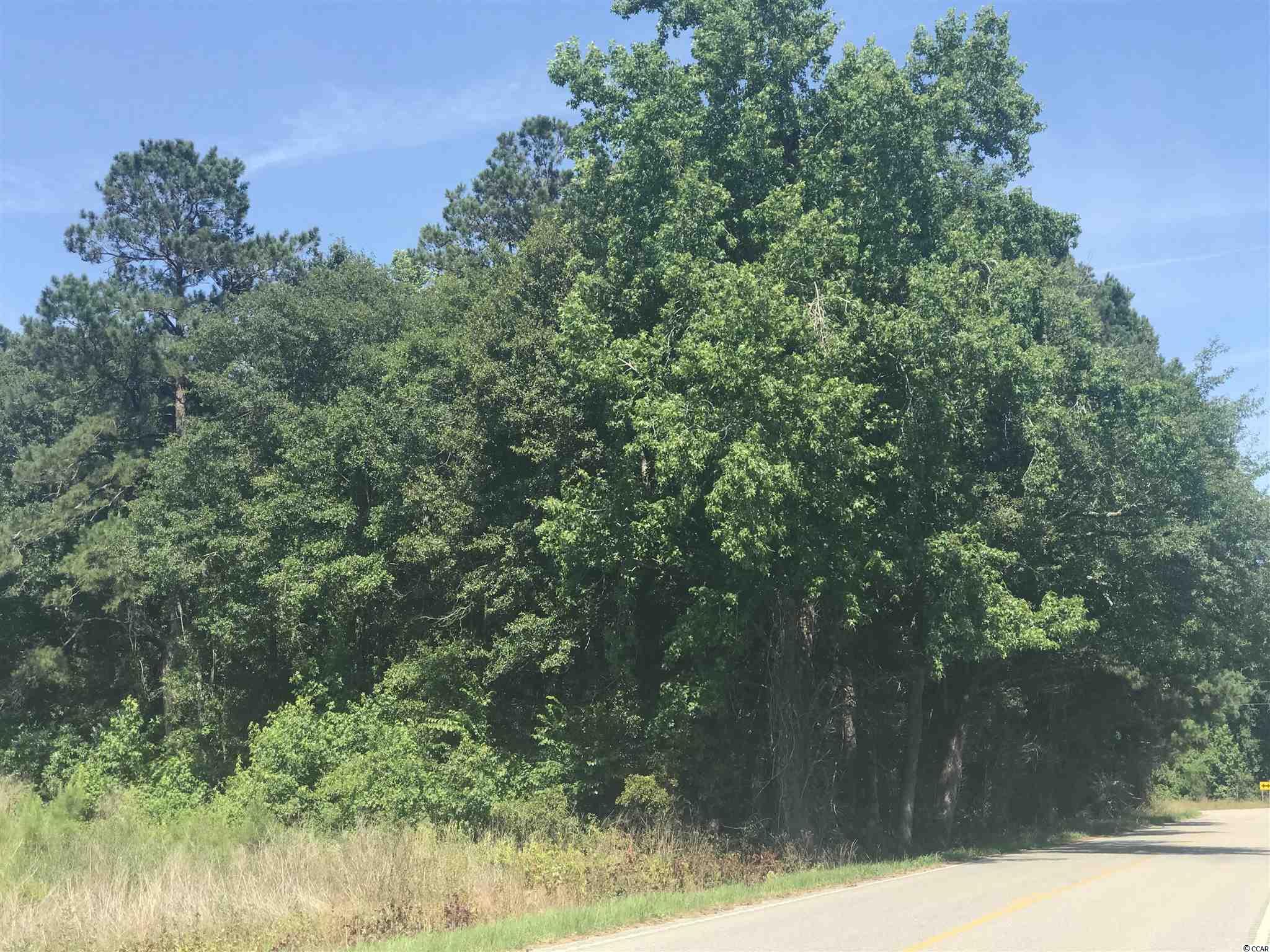 Joyner Swamp Road Galivants Ferry, SC 29544 - Photo 4 of 5 Gallery Image 4
