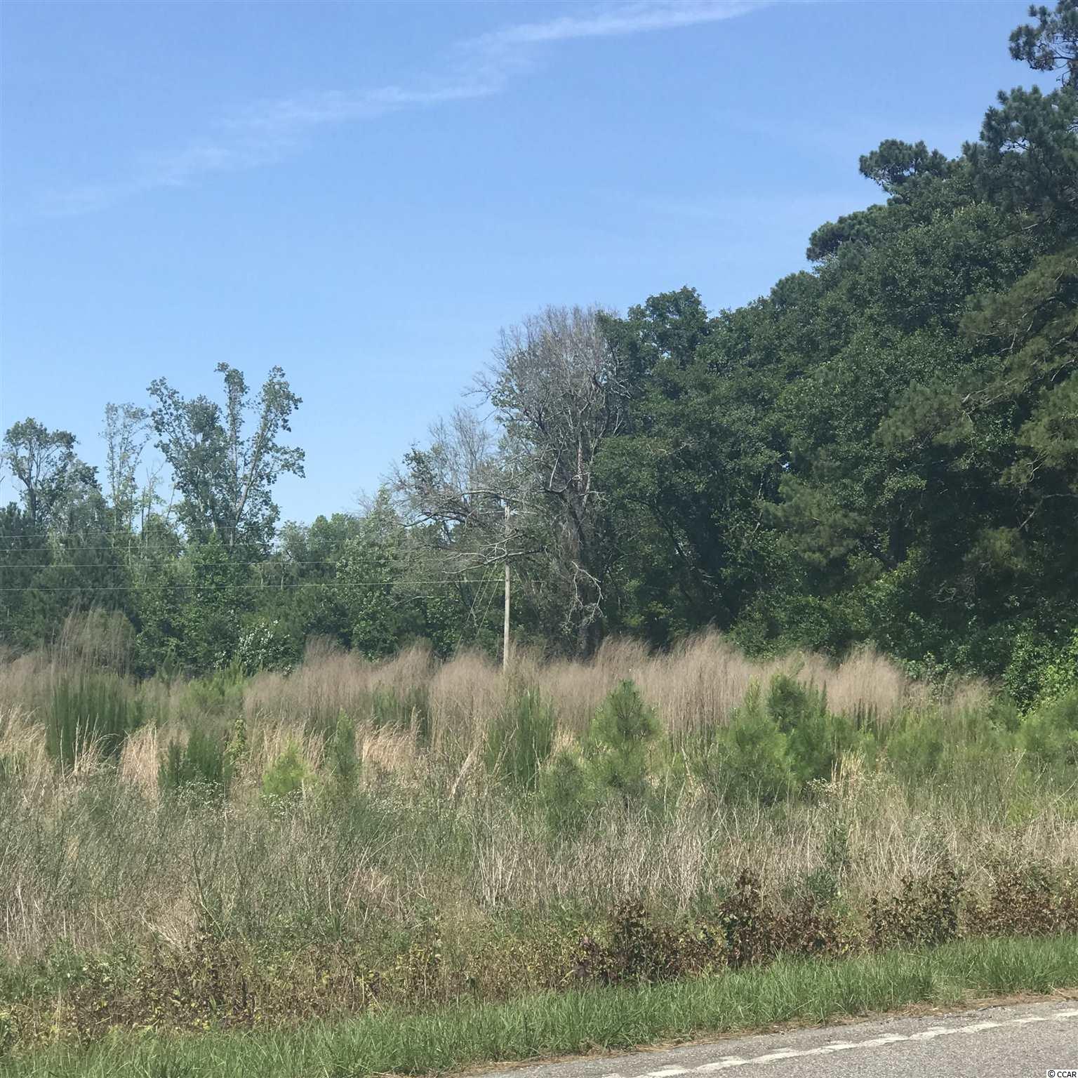 Joyner Swamp Road Galivants Ferry, SC 29544 - Photo 5 of 5 Gallery Image 5