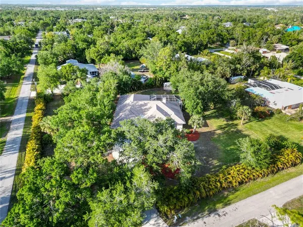 a view of a garden with a tree