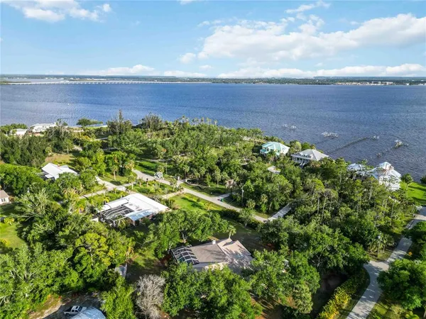 a view of a garden with plants