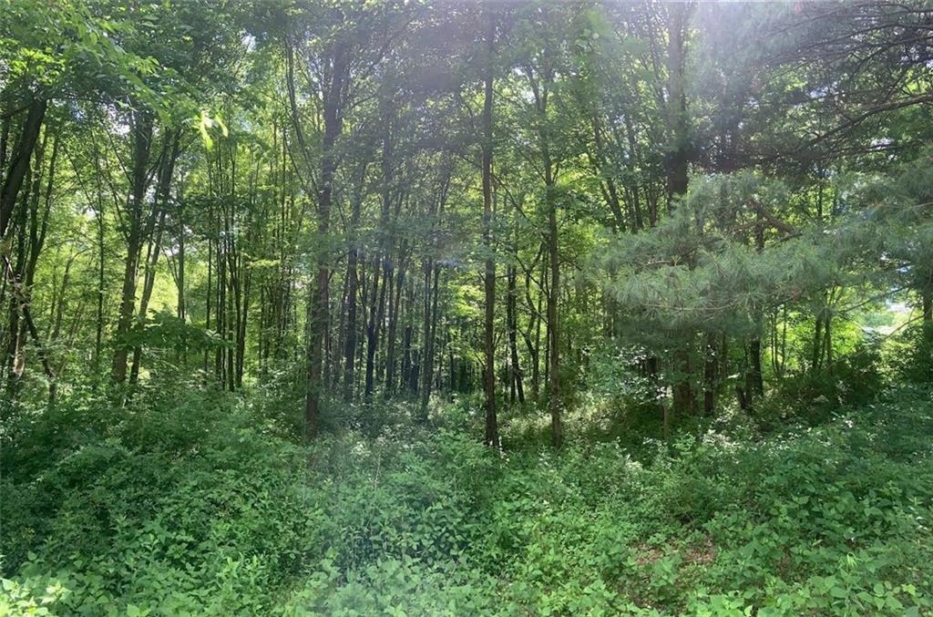 222 Chipmunk Road Evans City, PA 16033 - Photo 30 of 33 a view of a forest