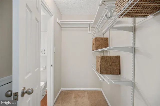 a bathroom with a shower and a sink