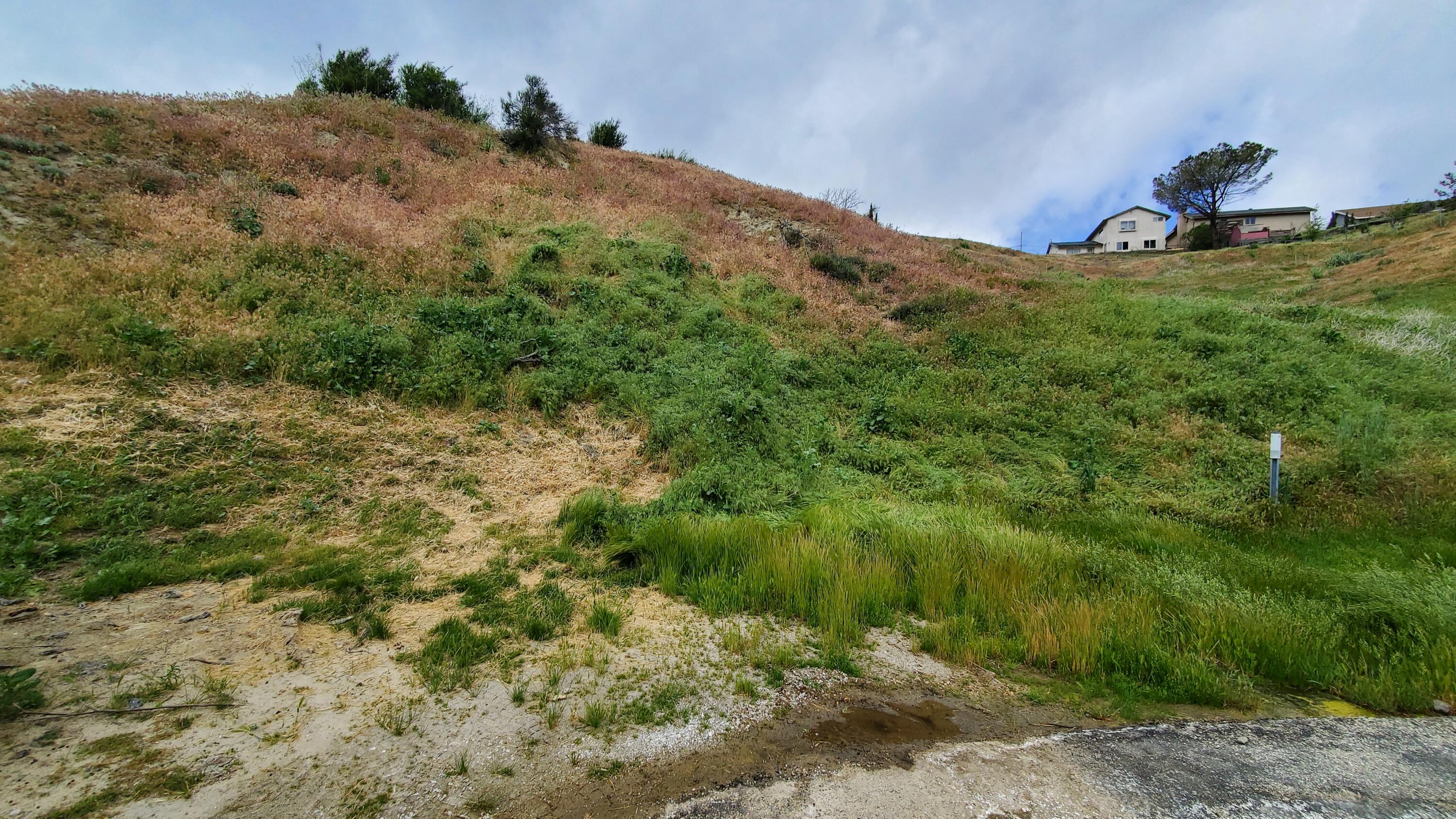 Cutwood Rd Lake Lake Elizabeth, CA 93532 - Photo 2 of 11 a view of a dry yard