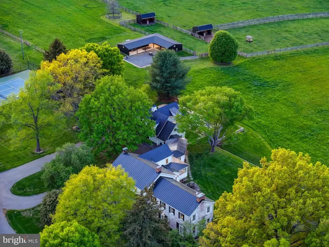 a view of house with garden and tall trees