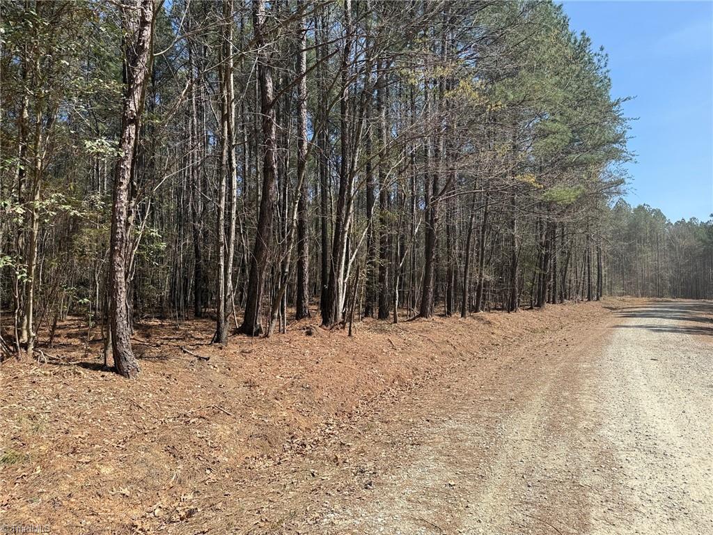 Lot 9 Woods Road Seagrove, NC 27341 - Photo 2 of 6