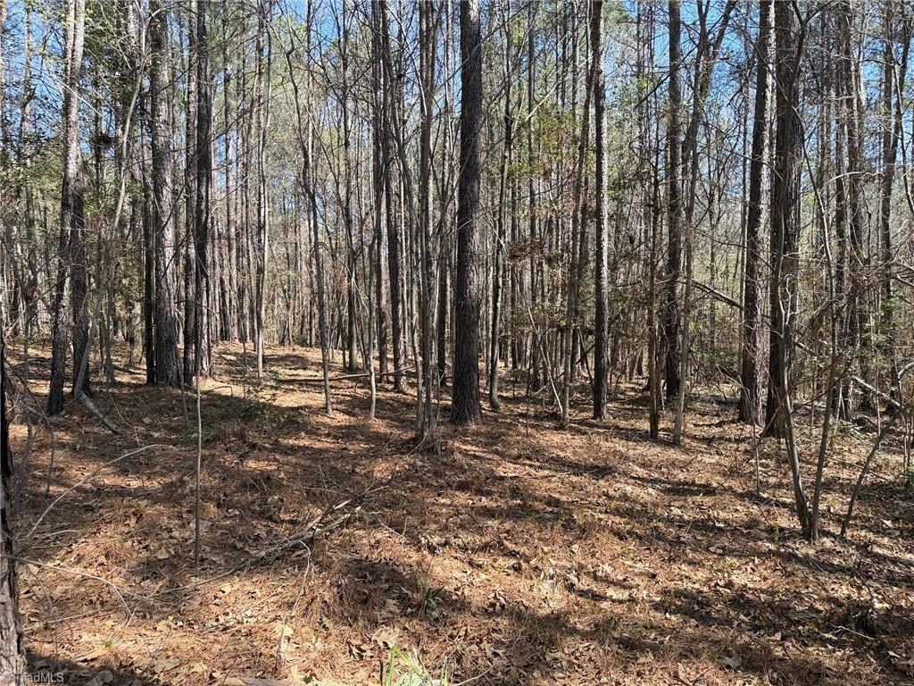 Lot 9 Woods Road Seagrove, NC 27341 - Photo 5 of 6