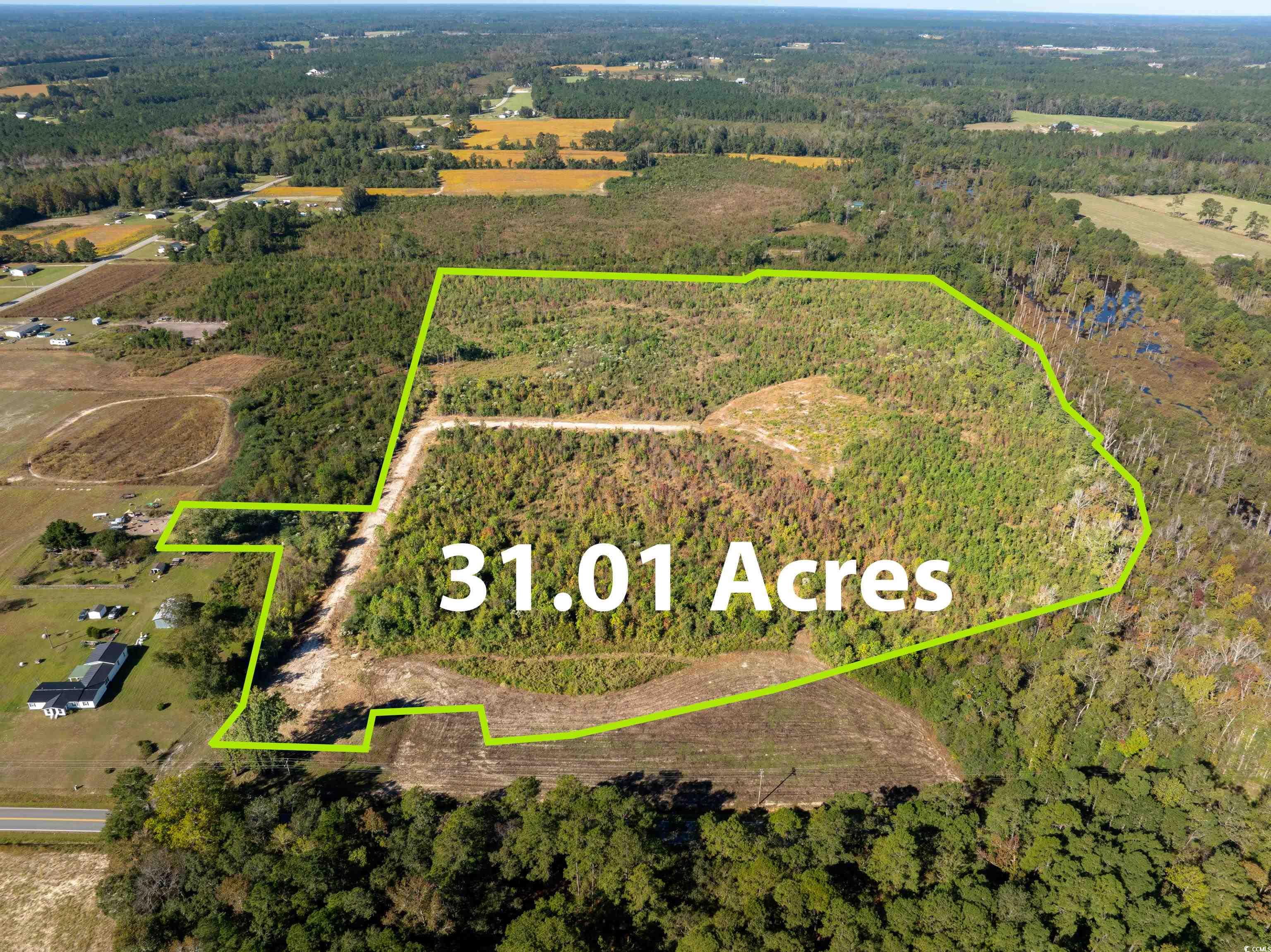 Tbd J H Martin Road Galivants Ferry, SC 29544 - Photo 1 of 14 Gallery Image 1
