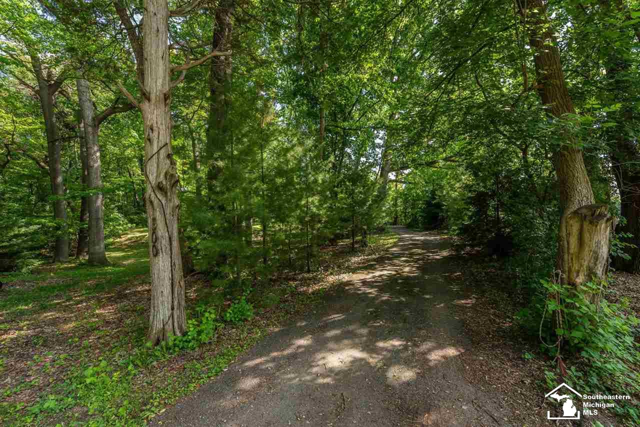 300 Island Lake Road Chelsea, MI 48118 - Photo 64 of 64 Driveway to House