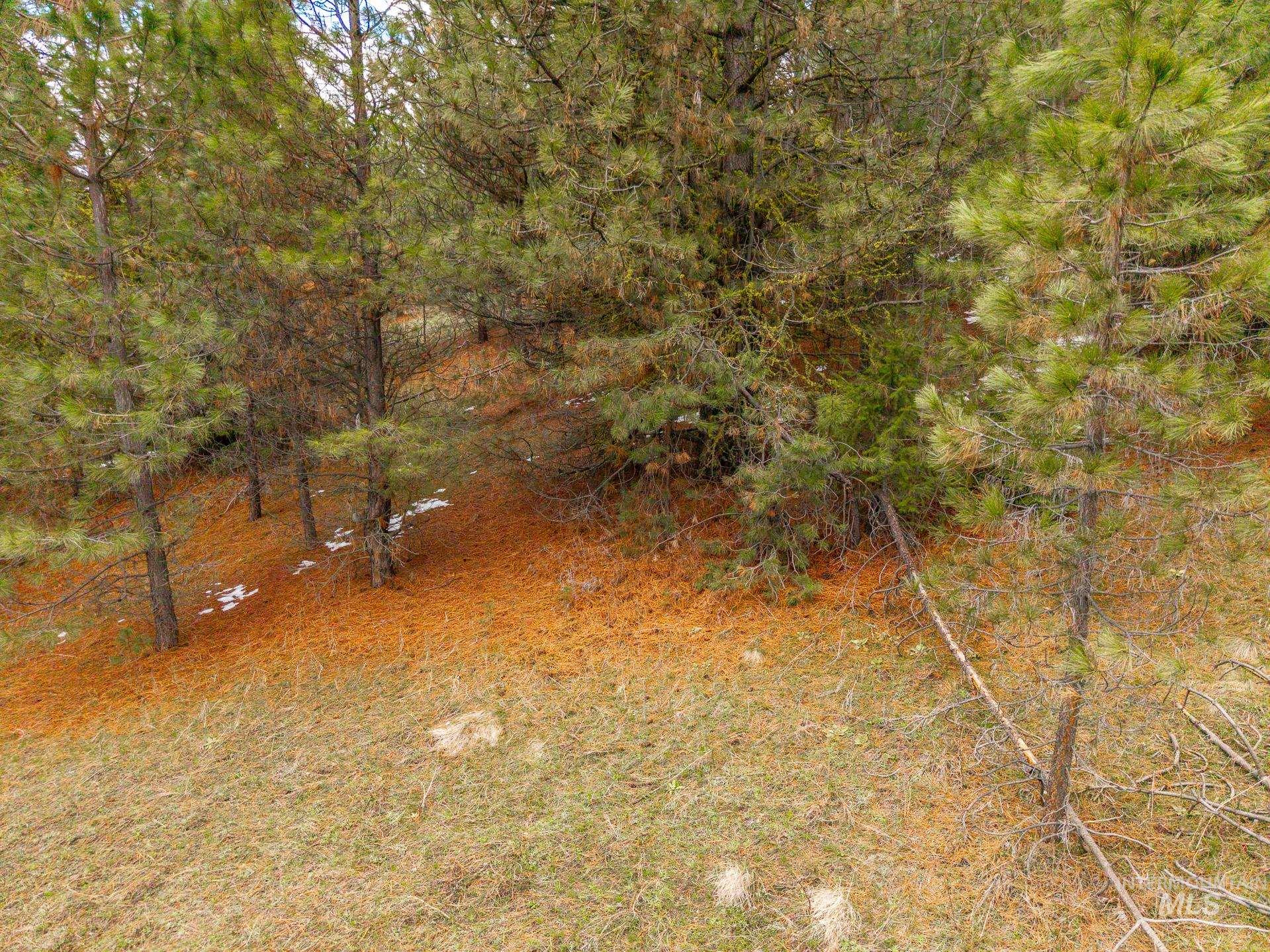 Tbd Lot 27 Tbd Loop Cascade, ID 83611 - Photo 12 of 32