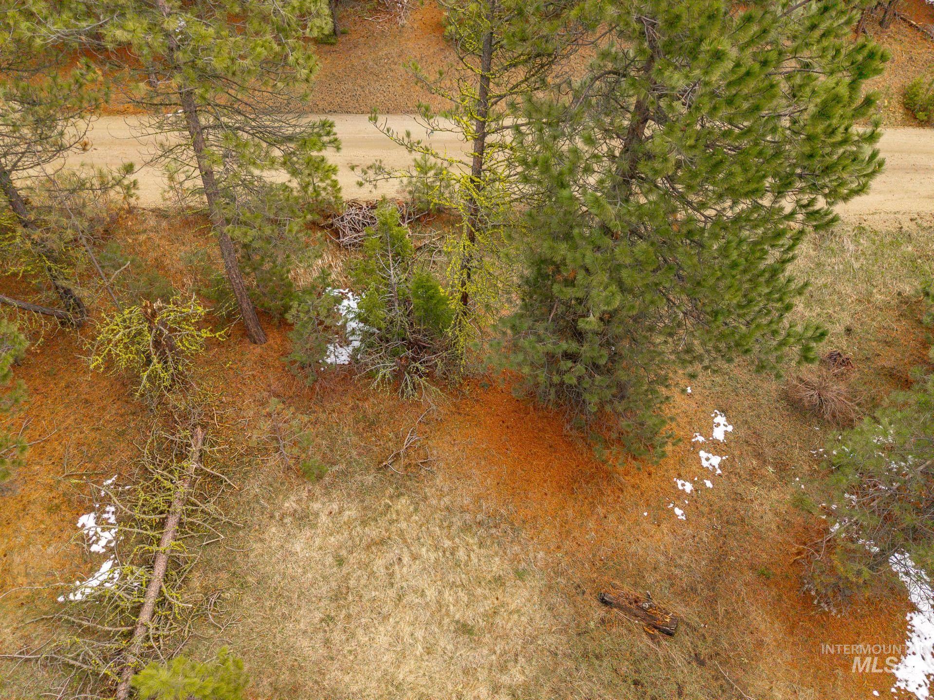 Tbd Lot 27 Tbd Loop Cascade, ID 83611 - Photo 13 of 32