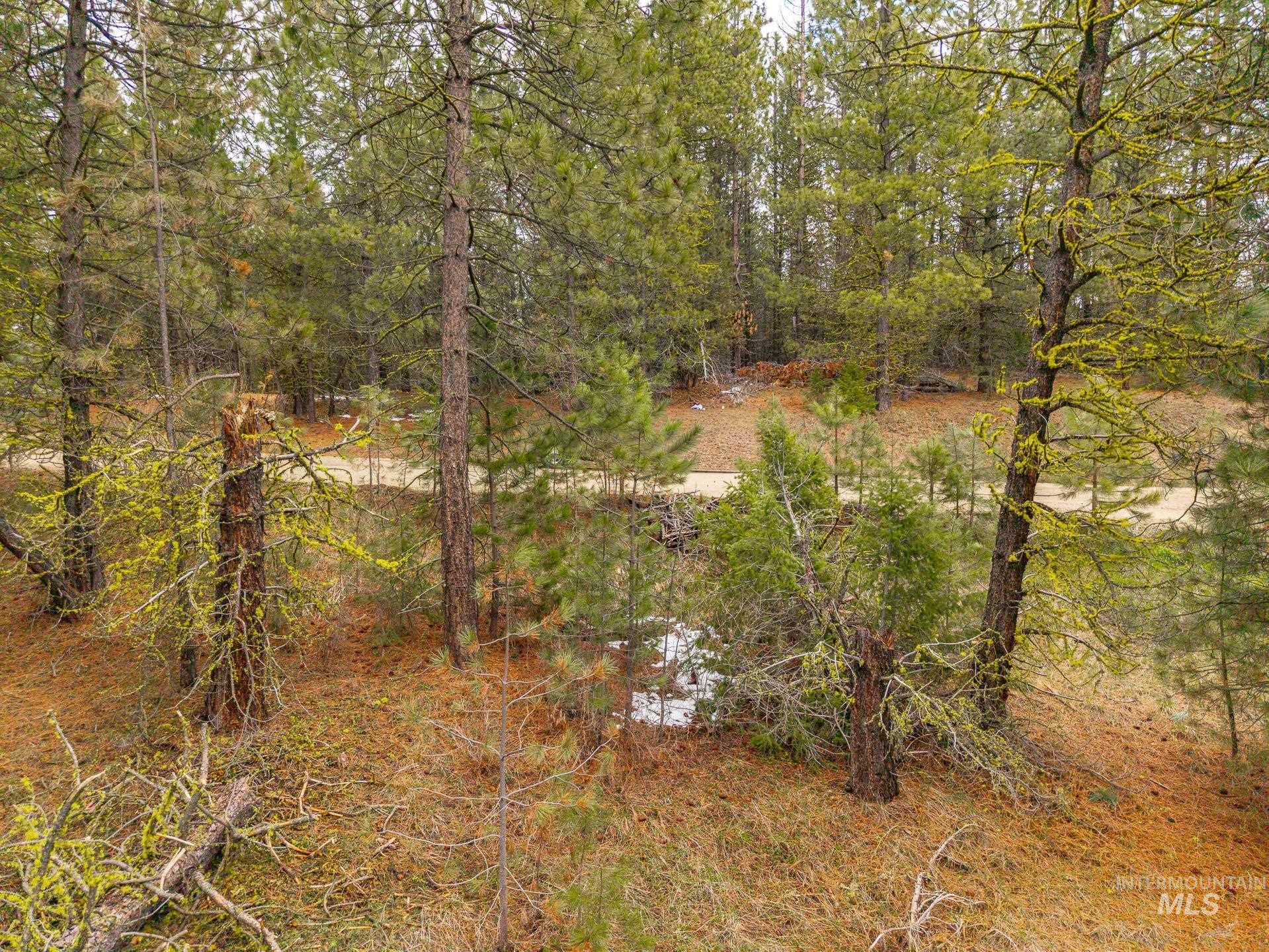 Tbd Lot 27 Tbd Loop Cascade, ID 83611 - Photo 14 of 32