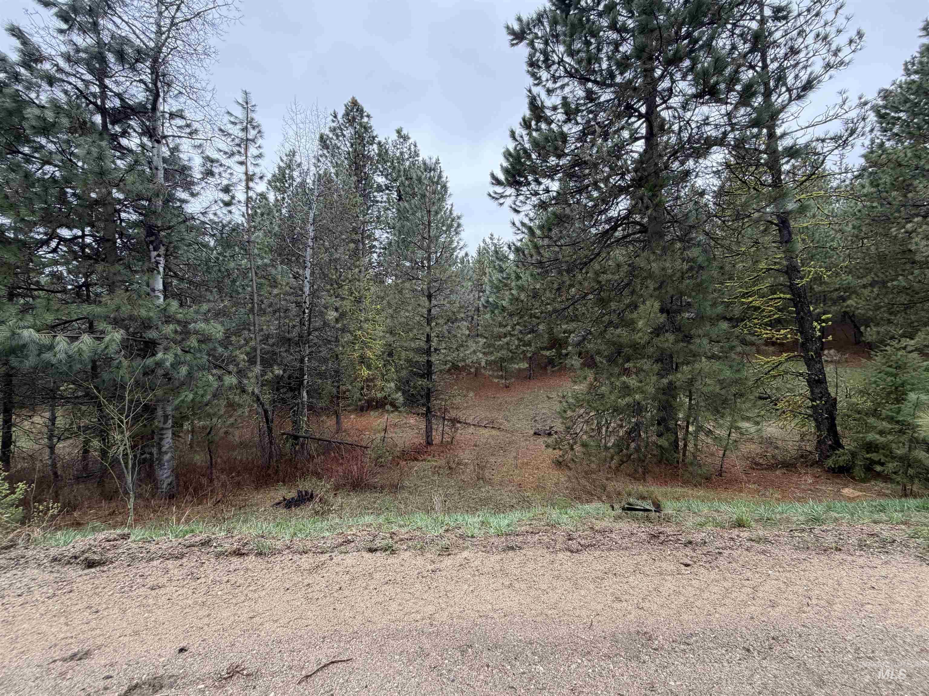 Tbd Lot 27 Tbd Loop Cascade, ID 83611 - Photo 19 of 32