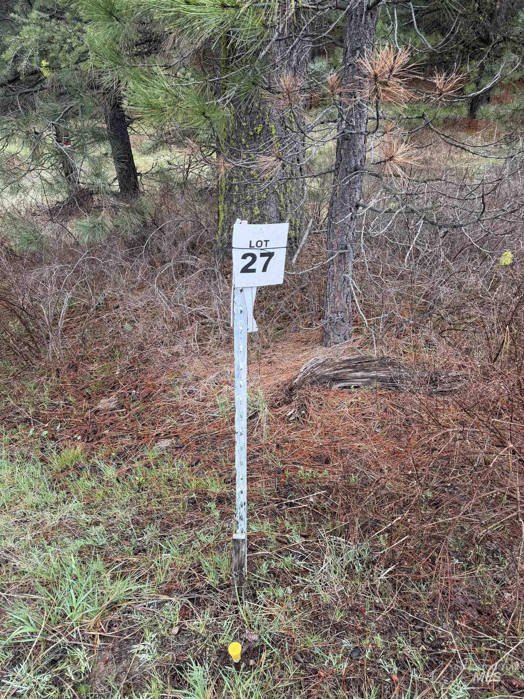 Tbd Lot 27 Tbd Loop Cascade, ID 83611 - Photo 21 of 32