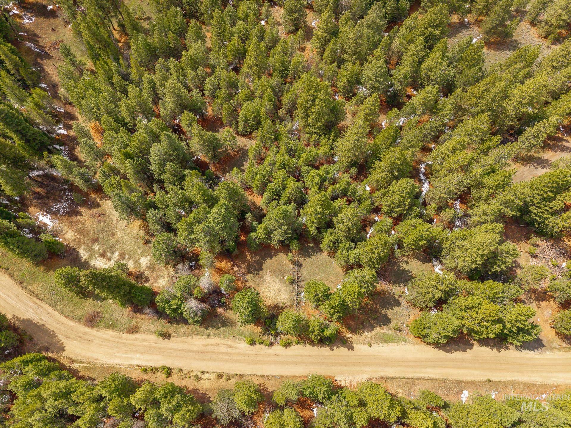 Tbd Lot 27 Tbd Loop Cascade, ID 83611 - Photo 27 of 32