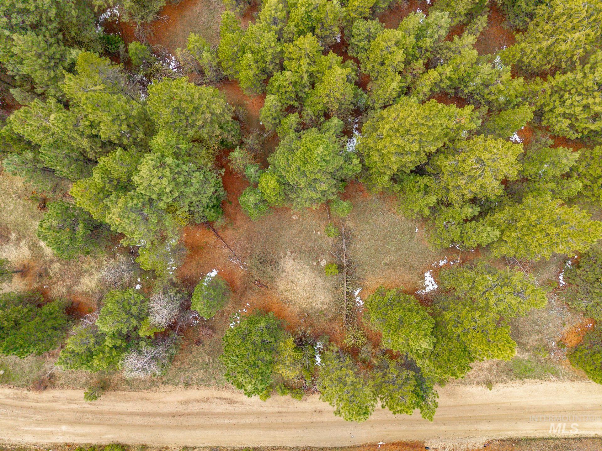 Tbd Lot 27 Tbd Loop Cascade, ID 83611 - Photo 28 of 32