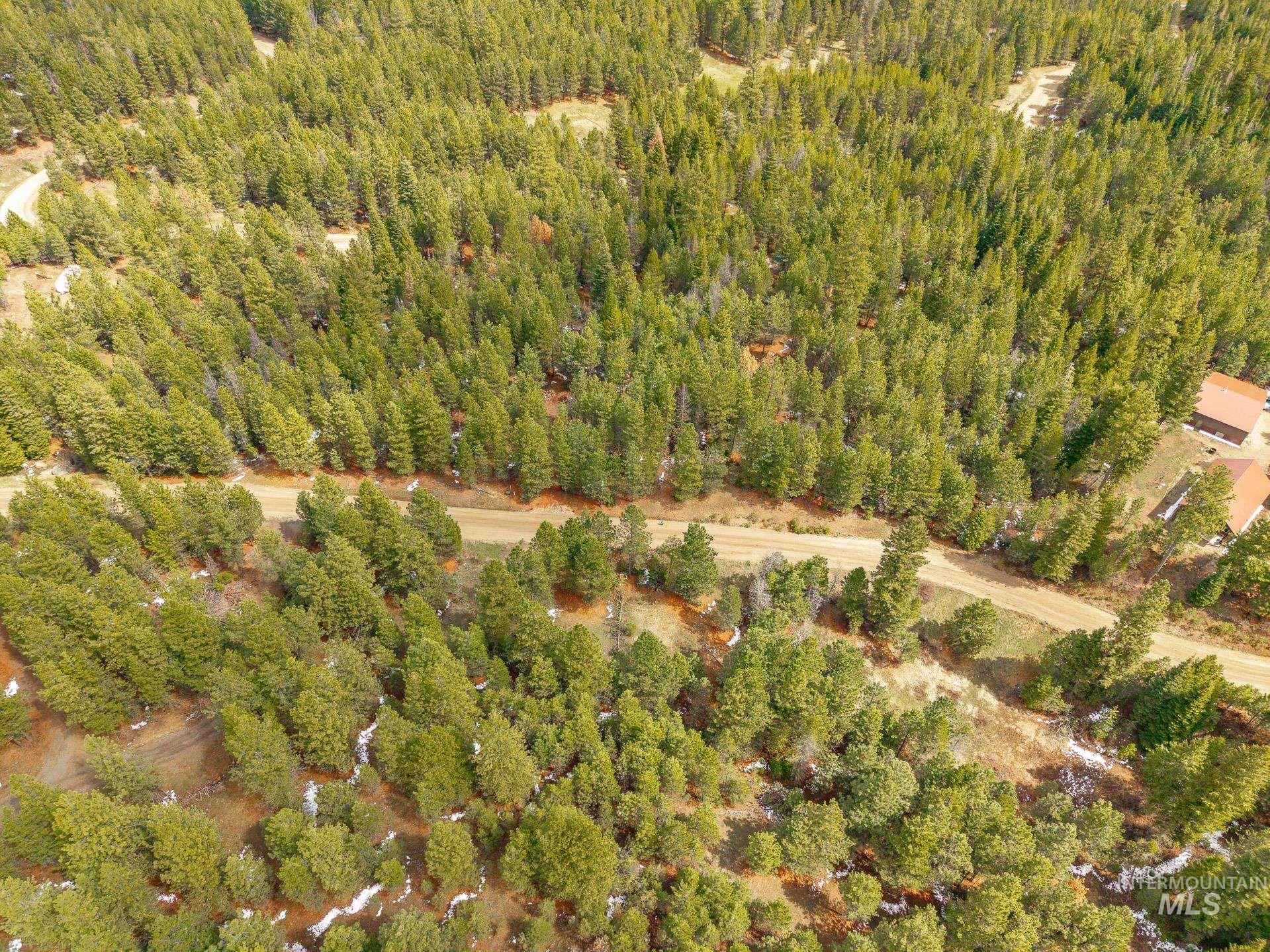 Tbd Lot 27 Tbd Loop Cascade, ID 83611 - Photo 30 of 32