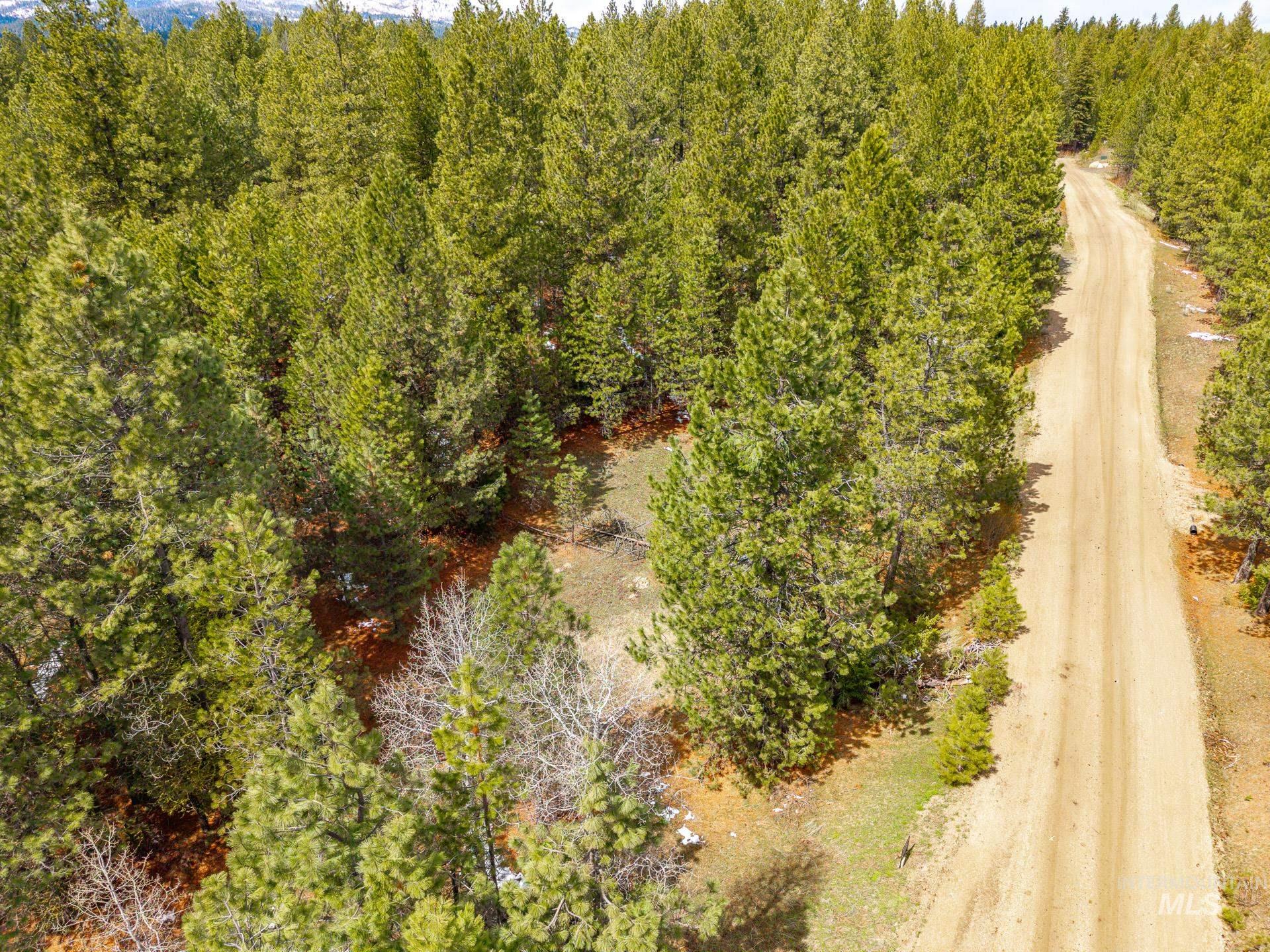 Tbd Lot 27 Tbd Loop Cascade, ID 83611 - Photo 31 of 32