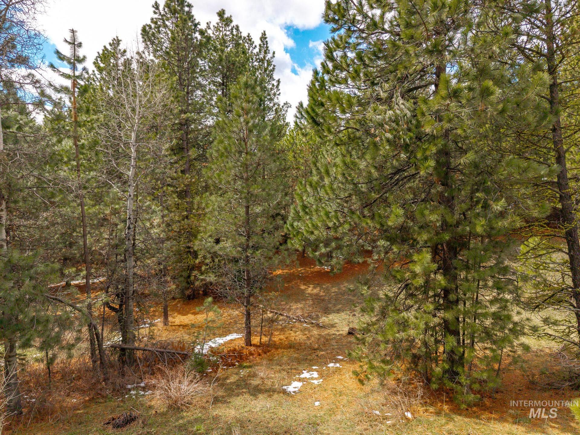 Tbd Lot 27 Tbd Loop Cascade, ID 83611 - Photo 32 of 32