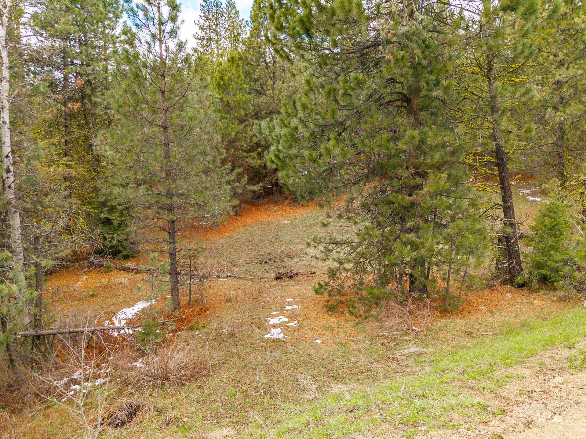 Tbd Lot 27 Tbd Loop Cascade, ID 83611 - Photo 4 of 32