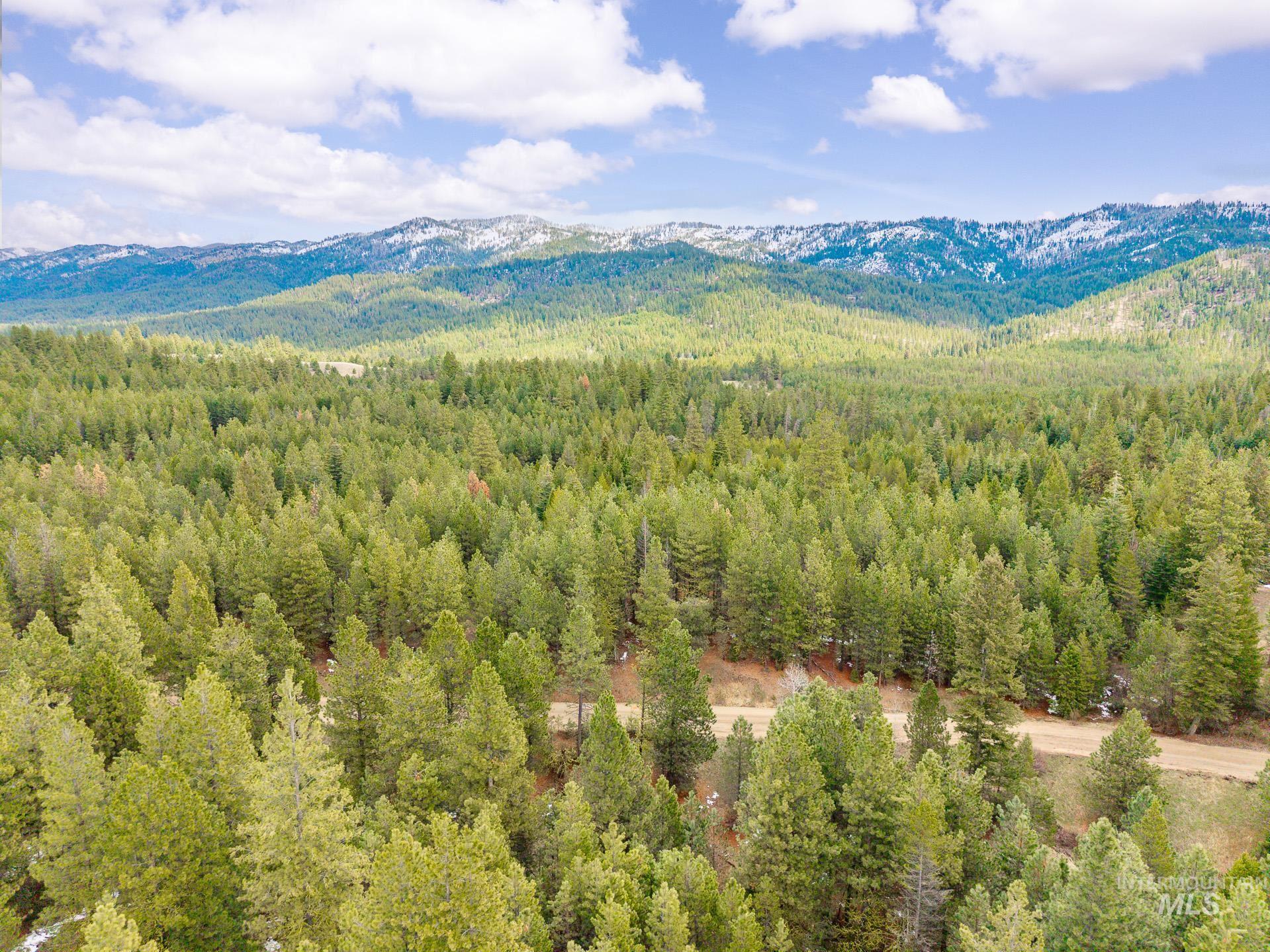 Tbd Lot 27 Tbd Loop Cascade, ID 83611 - Photo 9 of 32