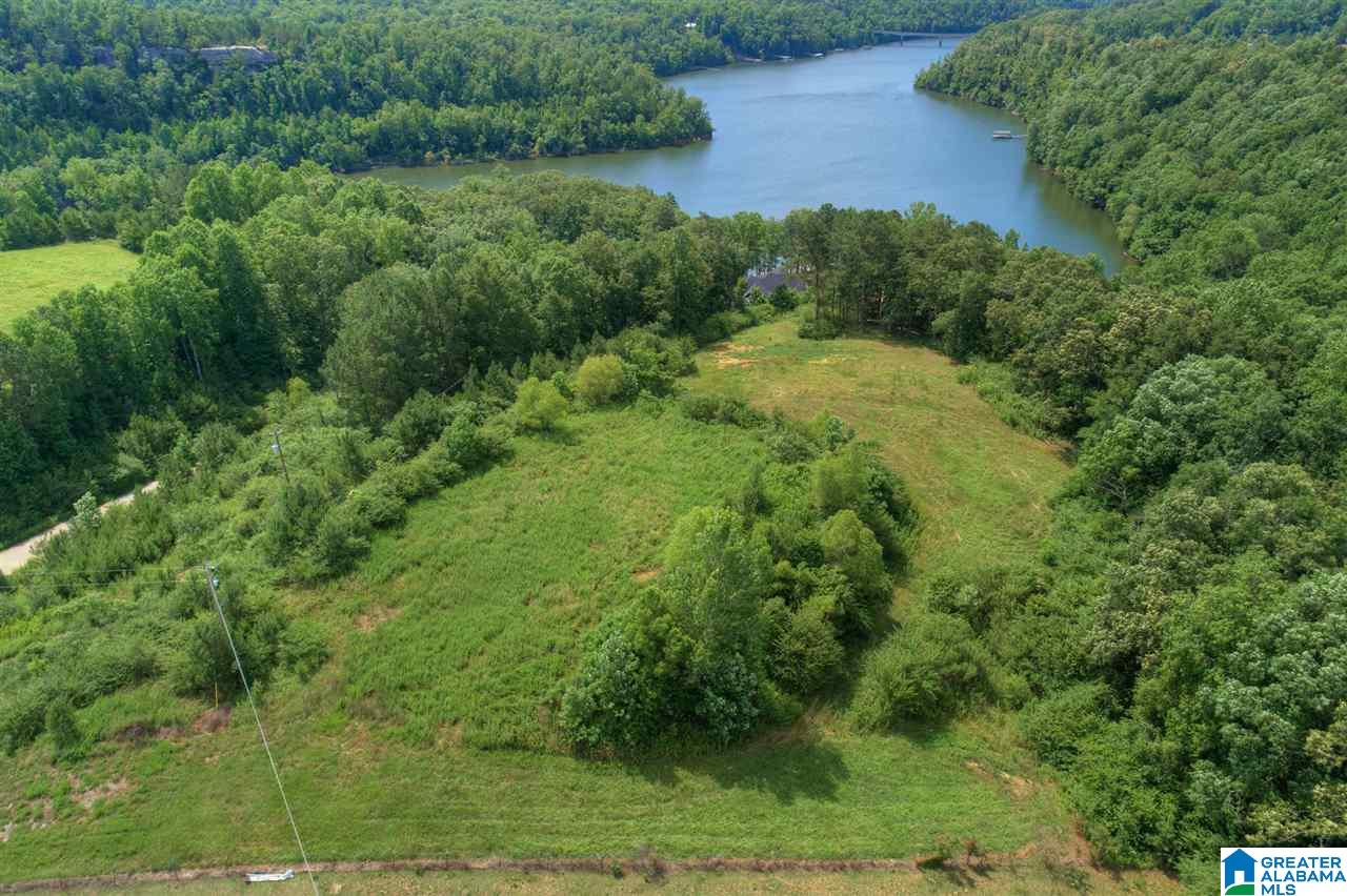 0 Ridge Drive, Unit 58 PART 54 & BOAT RAMP Arley, AL 35541 - Photo 6 of 27
