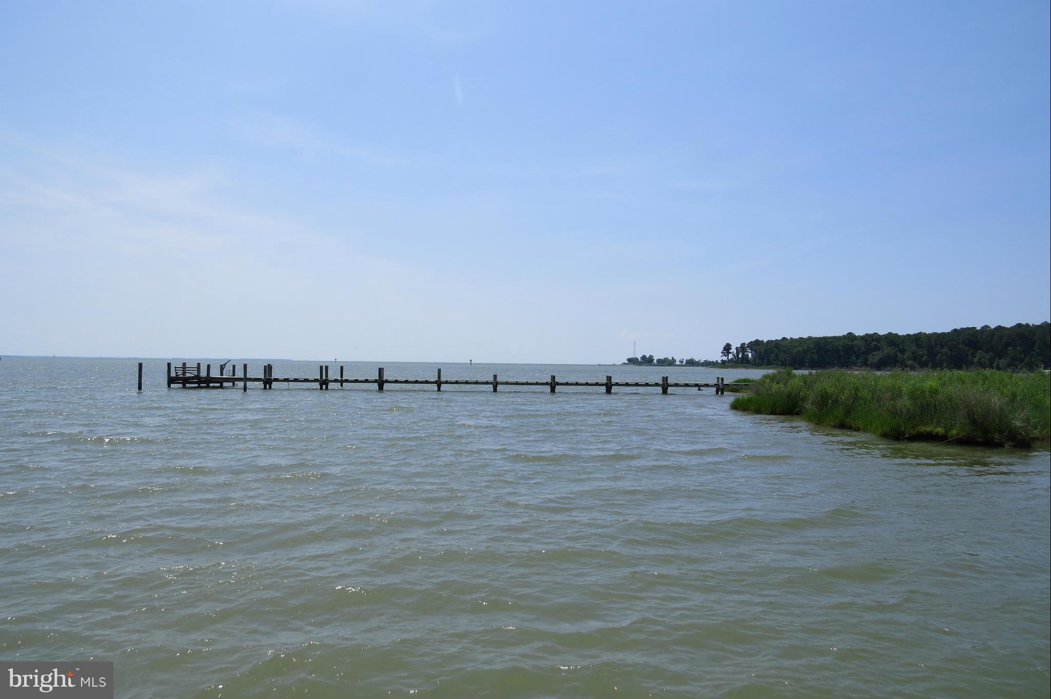 4883 Fairbank Road Tilghman, MD 21671 - Photo 28 of 28 View of Black Walnut Pt from dock