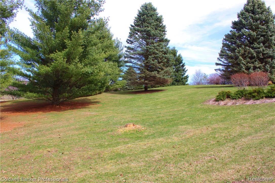 10090 Hadley Road Clarkston, MI 48348 - Photo 44 of 45 yard 12.JPG